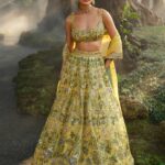 Royal Embroidery